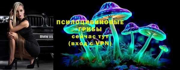 прущая мука Ладушкин