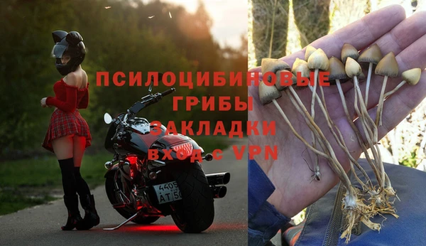 гидра Лагань