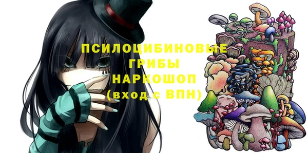 гидра Лагань