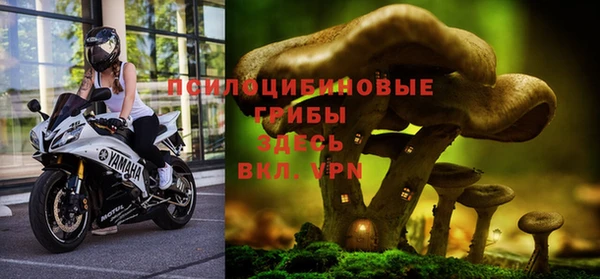 гашишное масло Лабытнанги