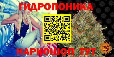 трава Абакан