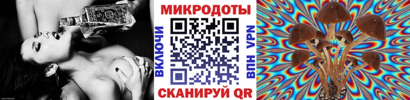 Галлюциногенные грибы Cubensis  Новоуральск 