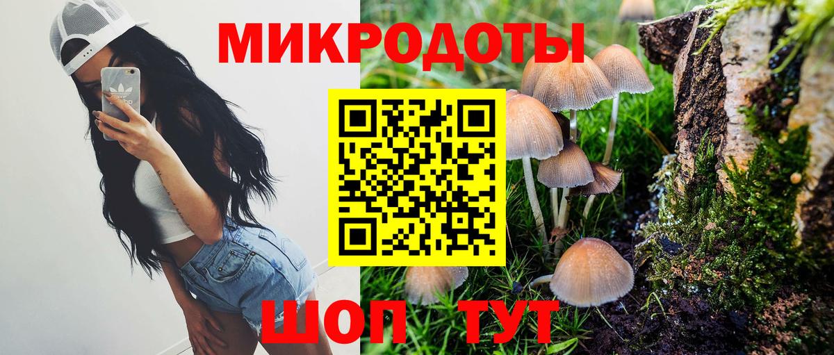 Галлюциногенные грибы Psilocybine cubensis Новоуральск