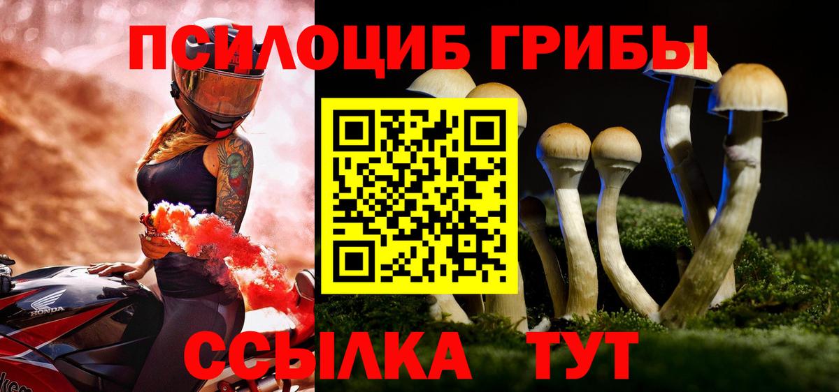 Новоуральск  Галлюциногенные грибы Psilocybine cubensis  цена наркотик  Псилоцибиновые грибы GOLDEN TEACHER  Вход с VPN 